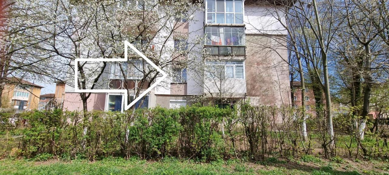 Studio Vale Daire Hunedoara Dış mekan fotoğraf