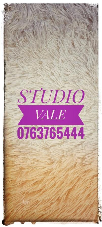 Studio Vale Daire Hunedoara Dış mekan fotoğraf