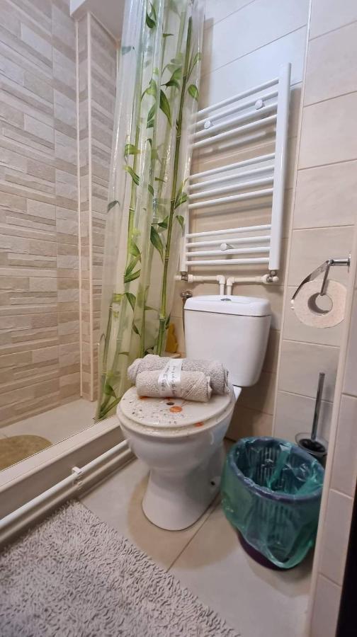 Studio Vale Daire Hunedoara Dış mekan fotoğraf