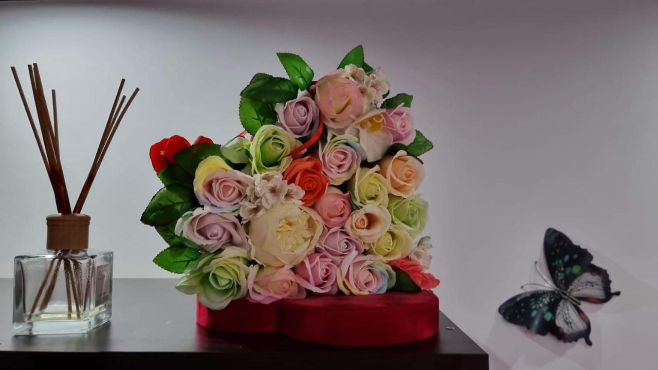 Studio Vale Daire Hunedoara Dış mekan fotoğraf