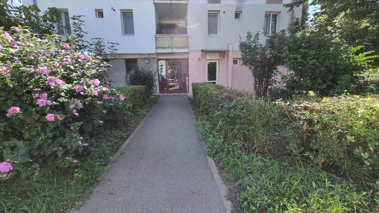 Studio Vale Daire Hunedoara Dış mekan fotoğraf